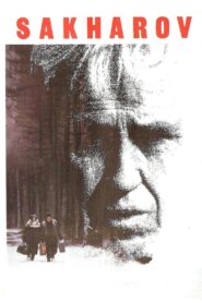 Sakharov 1984 one on netflix