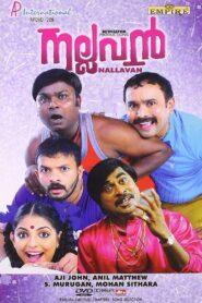 Nallavan 2010 one on netflix