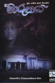 The Storm 1995 one on netflix