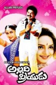 Allari Priyudu 1993 one on netflix