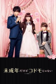Teen Bride 2017 one on netflix