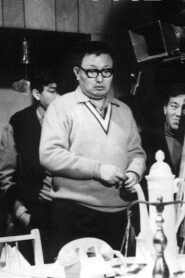 Two Or Three Things I Know About Kim Ki-young 2007 one on netflix