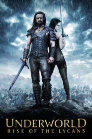 Underworld: Rise of the Lycans 2009 one on netflix