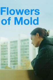 Flowers of Mold 2023 one on netflix