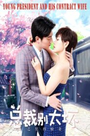 Young President and His Contract Wife 2018 one on netflix