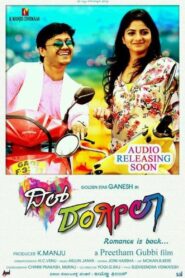 Dil Rangeela 2014 one on netflix