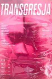 Transgression 2024 one on netflix