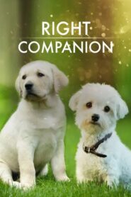 The Right Companion 2009 one on netflix