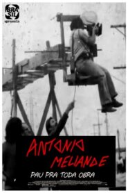 Antonio Meliande – Pau pra toda obra 2011 one on netflix