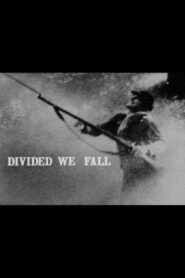 Divided We Fall 1982 one on netflix