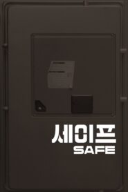 Safe 2013 one on netflix