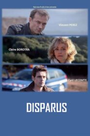 Disparus 2014 one on netflix