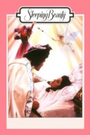 Sleeping Beauty 1987 one on netflix