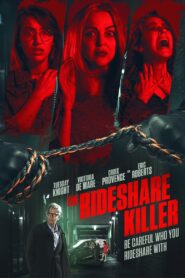 The Rideshare Killer 2022 one on netflix