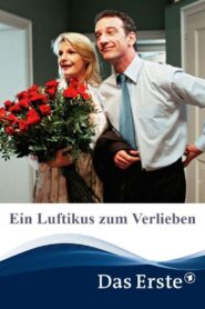 Ein Luftikus zum Verlieben 2005 one on netflix