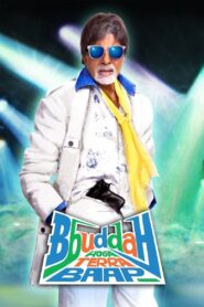 Bbuddah Hoga Terra Baap 2011 one on netflix