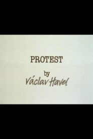 Protest 1981 one on netflix