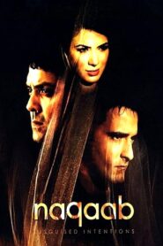 Naqaab 2007 one on netflix