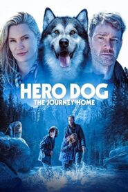 Hero Dog: The Journey Home 2021 one on netflix