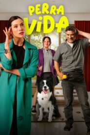 Dog Life 2024 one on netflix