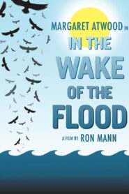 In the Wake of the Flood 2010 one on netflix