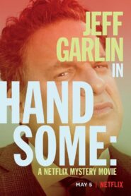Handsome: A Netflix Mystery Movie 2017 one on netflix