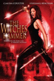 The Witches Hammer 2006 one on netflix