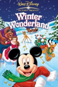 Winter Wonderland 2003 one on netflix