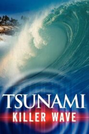 Tsunami – Killer Wave 2005 one on netflix