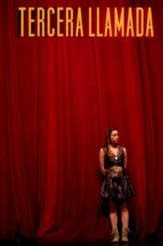 The Last Call 2013 one on netflix