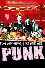 Punk Berlin 1982 2015 one on netflix