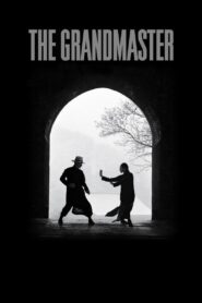 The Grandmaster 2013 one on netflix
