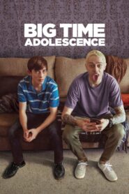 Big Time Adolescence 2020 one on netflix