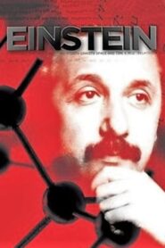 Einstein 2008 one on netflix