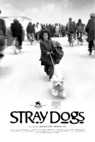 Stray Dogs 2004 one on netflix
