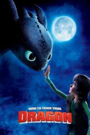 How to Train Your Dragon 2010 one on netflix