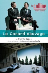Le Canard sauvage 2014 one on netflix