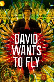 David Wants to Fly 2010 one on netflix