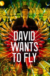 David Wants to Fly 2010 one on netflix