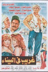 A Stranger in the Port 1995 one on netflix