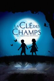 The Field of Enchantment 2011 one on netflix