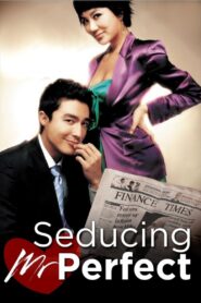 Seducing Mr. Perfect 2006 one on netflix