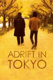 Adrift in Tokyo 2007 one on netflix