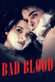 Mauvais Sang 1986 one on netflix