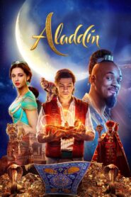 Aladdin 2019 one on netflix