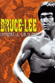 Bruce Lee: The Immortal Dragon 1994 one on netflix