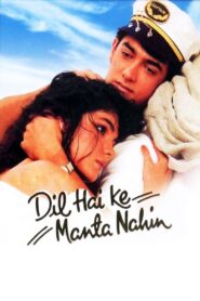 Dil Hai Ke Manta Nahin 1991 one on netflix