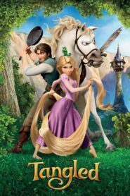 Tangled 2010 one on netflix