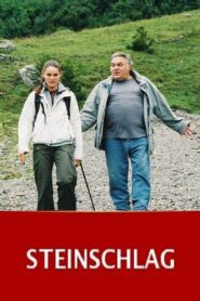 Steinschlag 2005 one on netflix