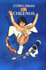 Cómo aman los chilenos 1984 one on netflix